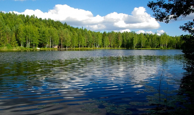 Finland-The Forested Land